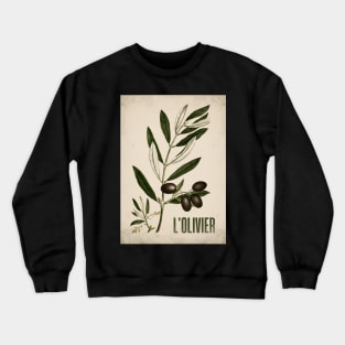 Old plant poster - The olive tree - Vintage - retro Crewneck Sweatshirt